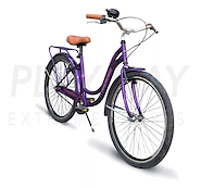 Bicicleta Paseo Fire Bird Vintage