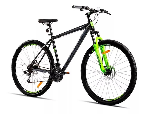 Bicicleta Teknial Tarpan 200 Run Mtb R29 - $ 368.000