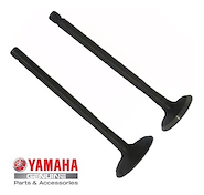 Juego De Valvulas Yamaha Fz fi Original Ciclofox
