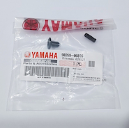 Remache Yamaha NMAX Original