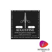 AUGUSTINE BLACK