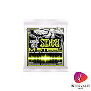 ERNIE BALL P02921