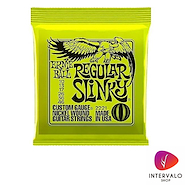 ERNIE BALL 2221