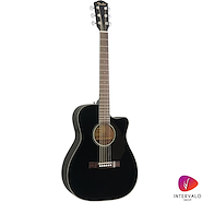 FENDER 097-0153-006