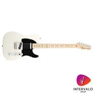 FENDER 011-5802-305