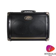 PEAVEY Ecoustic E208-  2 Parlantes - OUTLET -
