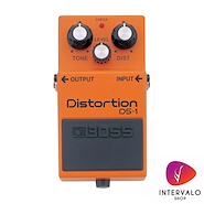 ROLAND DS1
