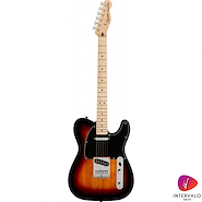 SQUIER 037-8203-500