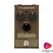 TC ELECTRONIC Echobrain Analog Delay