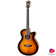 WASHBURN EA15 ATB Sunburst