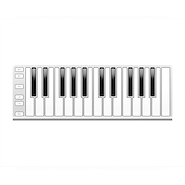 CME XKEY25