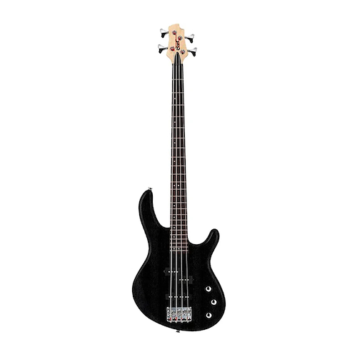CORT ACTION-BASSPLUS-BK