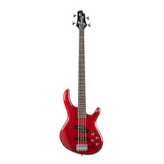 CORT ACTION-BASSPLUS-TR
