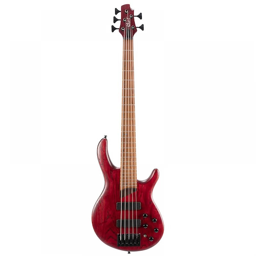 CORT B5 ELEMENT OPBR