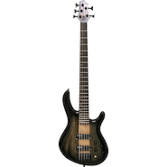 CORT C5-PLUS-ZBMH-TBB