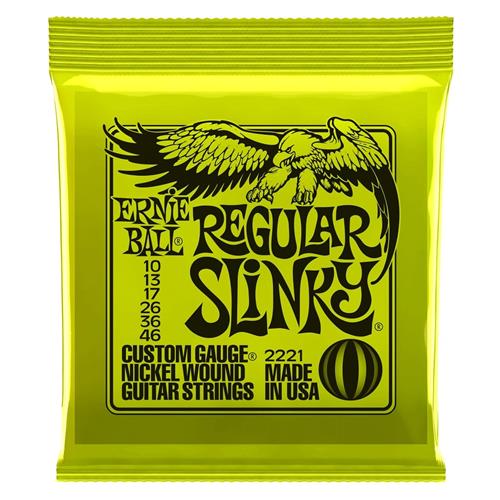 ERNIE BALL P02221