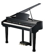 KURZWEIL KAG100BP