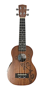 ASHLAND UKELELE UK196S-EQ Ukelele 21