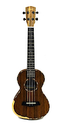 ASHLAND UKELELE UK205T-EQ Ukelele 26