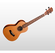 ASHLAND UKELELE UK212T Ukelele 26