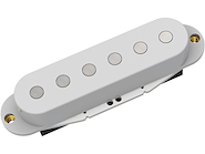 DS PICKUPS DS10-B SC1-B Mic simpl