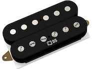 DS PICKUPS DS34-B AH2-B Mic dobl