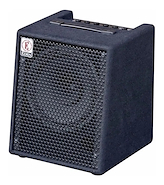 EDEN EC10 Amplificador para bajo 1x10 - 50 Watts