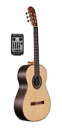 LA ALPUJARRA 100FIXM (MATE) GUITARRA MODELO 100 CON ECUALIZADOR FISHMAN PREFIX PLUS T MA