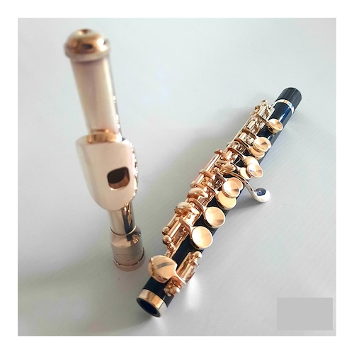 LINCOLN WINDS LCPC-301 EST Flauta traversa piccolo - $ 407.700