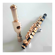 LINCOLN WINDS LCPC-301 EST Flauta traversa piccolo