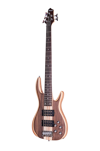 PARQUER BJ035N BAJO ELECTRICO ROCKSTAR 5 CUERDAS C/FUNDA - $ 561.420