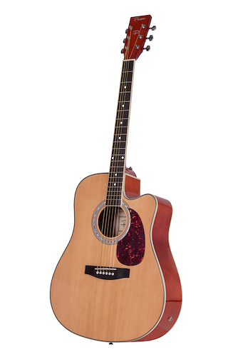 PARQUER GAC150LB GUITARRA ACUSTICA MYSTIC CON CORTE - $ 265.560