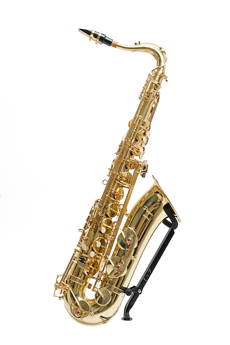 PARQUER SAXO TENOR PSTD SAXO TENOR CUSTOM - $ 957.420