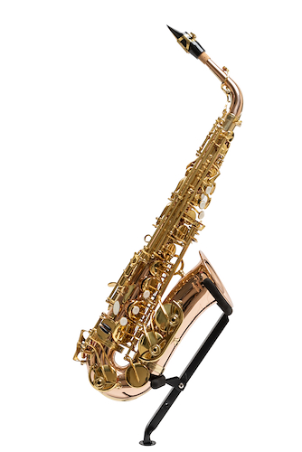 PARQUER SAXO ALTO PSARL SAXO ALTO MAJESTIC - $ 1.345.440