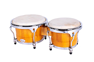 PARQUER 2517085NL BONGO RUMBA 7