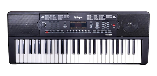 PARQUER ARK336BK TECLADO 54 TECLAS NEGRO - $ 107.600