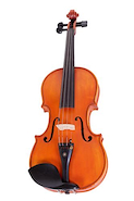 PARQUER VIOLÍN VL1000 VIOLIN MAJESTIC