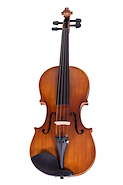 PARQUER VIOLÍN VL900 VIOLIN CUSTOM 4/4