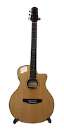 PARQUER GAC109MCLBEQ4 GUITARRA ELECTROACUSTICA 41 C/FUNDA