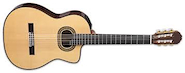 TAKAMINE JAPON TC132SC  c/estuche Guitarra clasica top Solid Cedar, back Solid Rosewood, sides