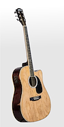 WASHBURN WA47CEN Folk Guitar 41