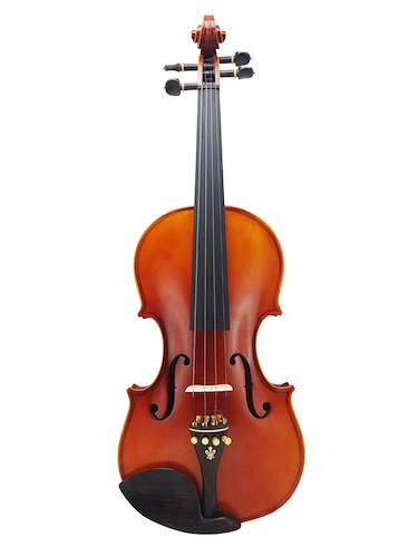 ANCONA JVN-01C 4/4 violin 4/4  madera maciza/ebano