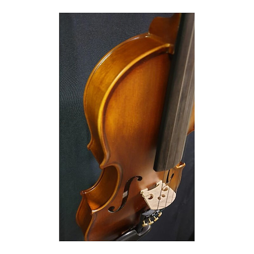 ANCONA VM100  4/4 Violín c/Arco y Estuche