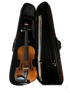 GIULIANI SV-1EQ madera maciza y ebano violin 4/4 con microfono y ecualizador. Arco y estuche