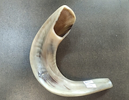 NGTAL Shofar (cuerno) Schofar (cuerno)