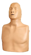 Torso basico adulto para RCP