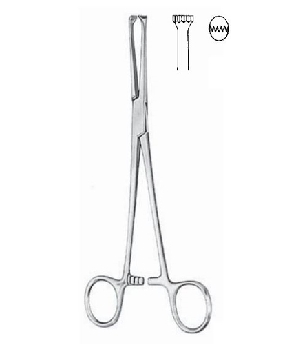 Pinza Allis  DUKE