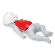 Torso neonatal BABY BUDDY  FIORINO