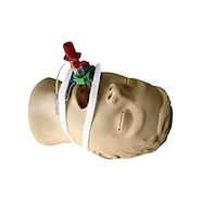 Mordillo fijador para tubo endotraqueal  FIORINO