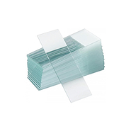 Portaobjetos de vidrio x 50 unidades 25,4 x 76,2 mm SAIL